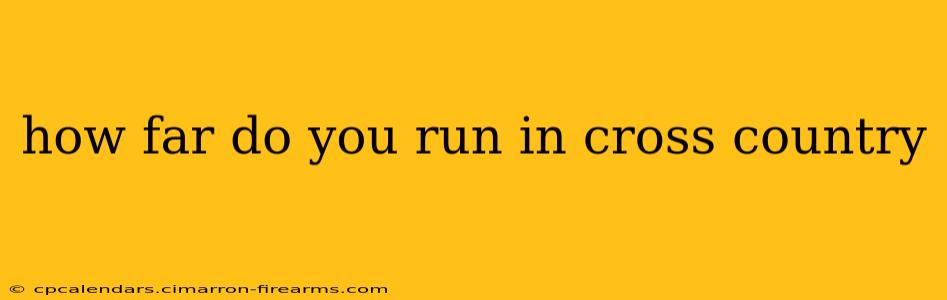 how far do you run in cross country