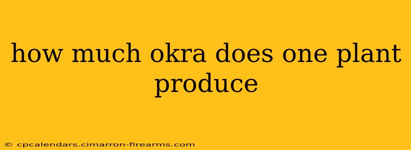 how much okra does one plant produce