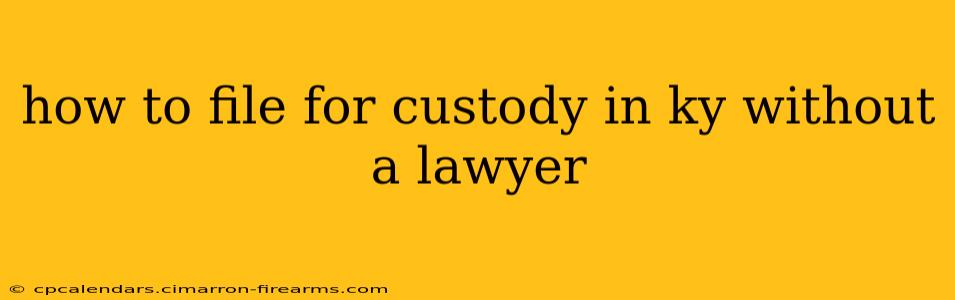 how to file for custody in ky without a lawyer