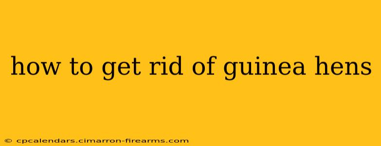 how to get rid of guinea hens