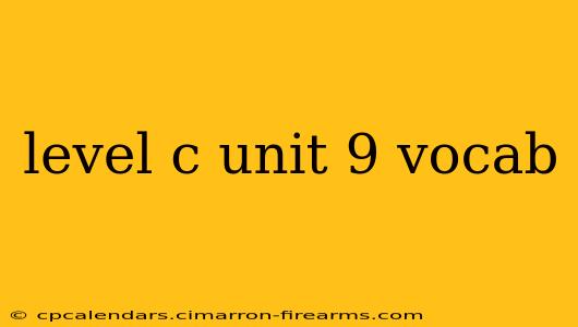 level c unit 9 vocab