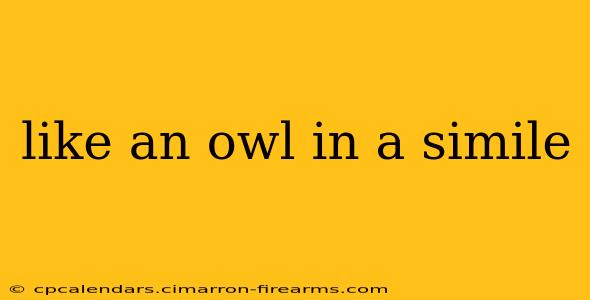 like an owl in a simile