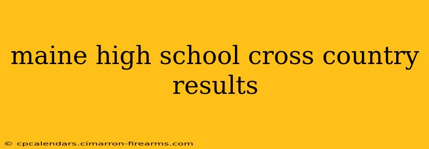 maine high school cross country results