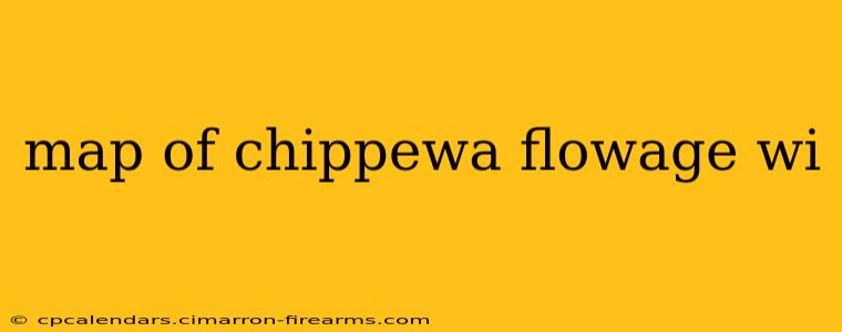 map of chippewa flowage wi