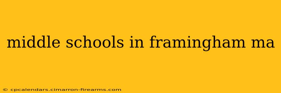 middle schools in framingham ma