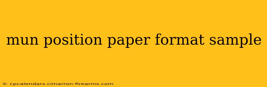 mun position paper format sample