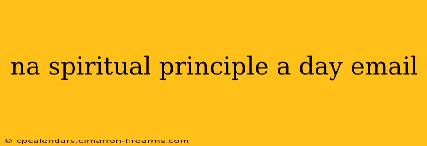 na spiritual principle a day email