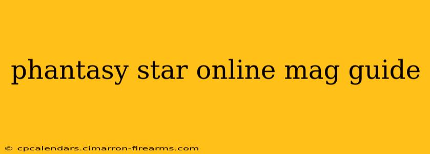 phantasy star online mag guide