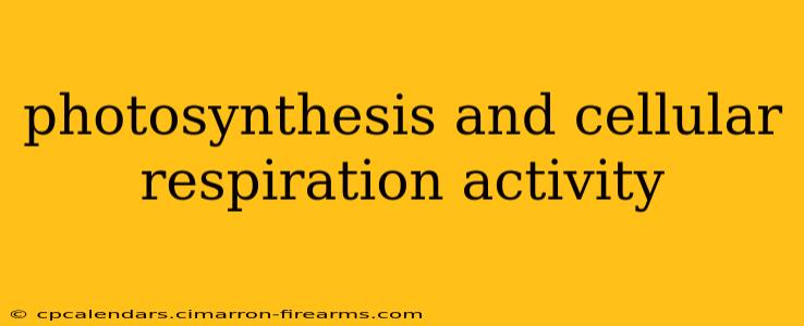 photosynthesis and cellular respiration activity