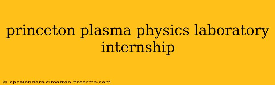 princeton plasma physics laboratory internship