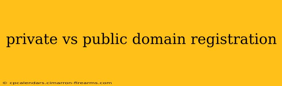 private vs public domain registration