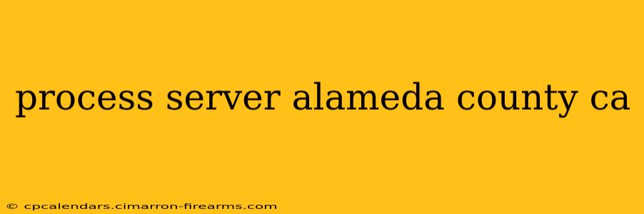 process server alameda county ca