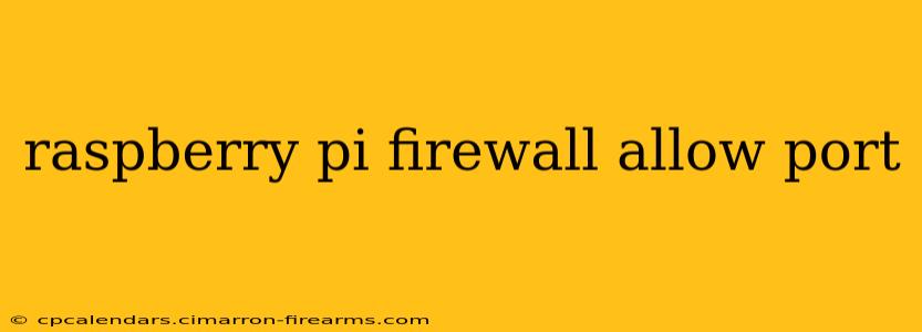 raspberry pi firewall allow port