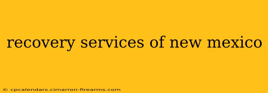 recovery services of new mexico