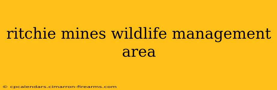 ritchie mines wildlife management area