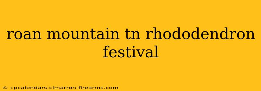 roan mountain tn rhododendron festival