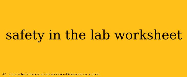 safety in the lab worksheet