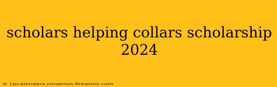 scholars helping collars scholarship 2024