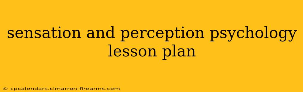 sensation and perception psychology lesson plan