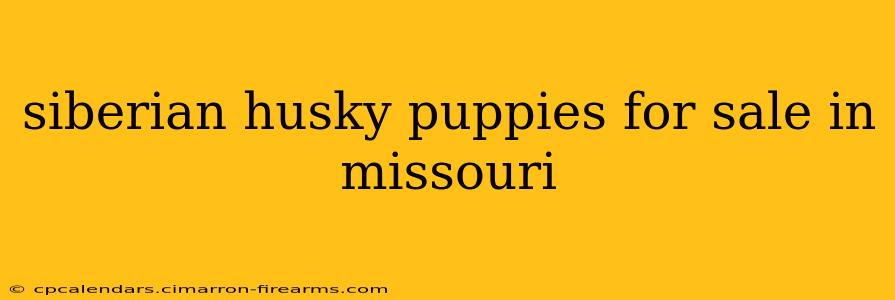 siberian husky puppies for sale in missouri