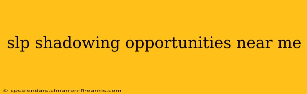 slp shadowing opportunities near me