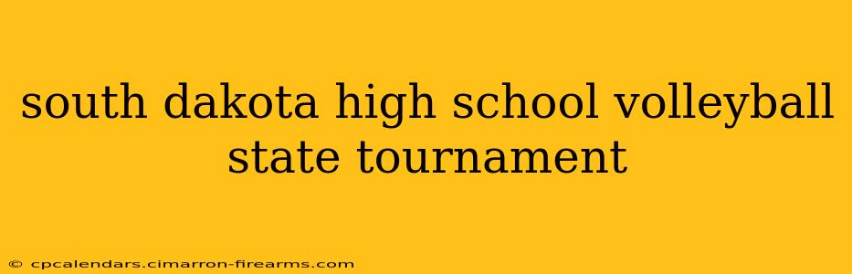 south dakota high school volleyball state tournament