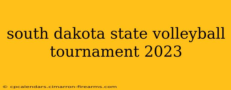 south dakota state volleyball tournament 2023