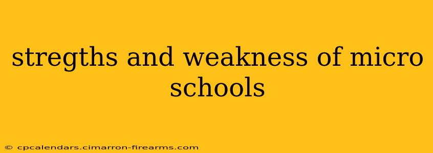 stregths and weakness of micro schools