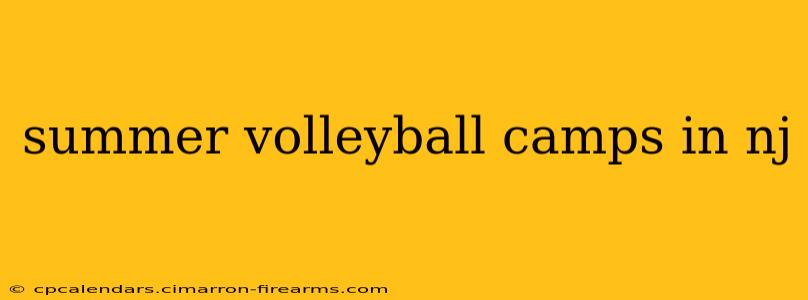 summer volleyball camps in nj