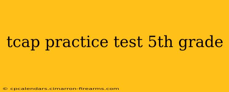 tcap practice test 5th grade