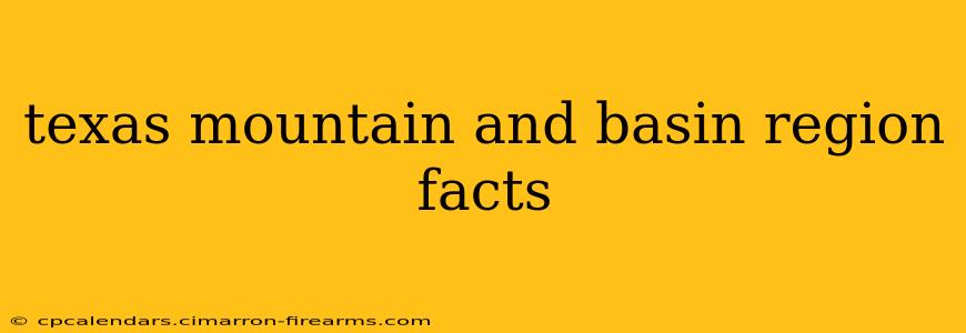 texas mountain and basin region facts