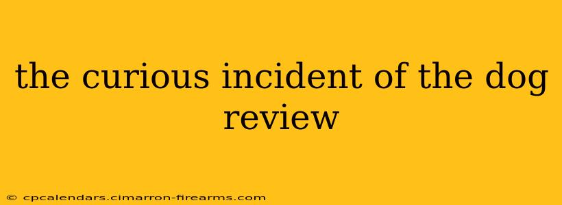 the curious incident of the dog review