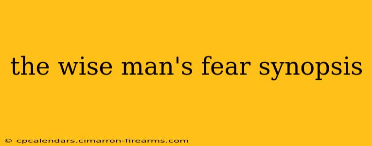 the wise man's fear synopsis