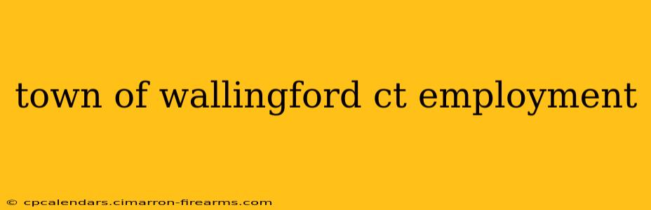 town of wallingford ct employment