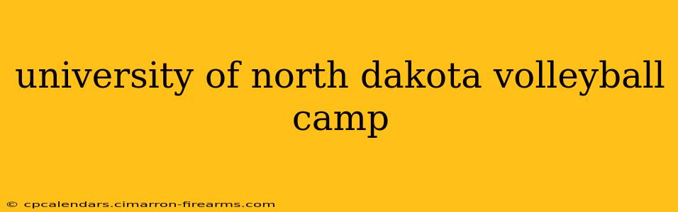 university of north dakota volleyball camp