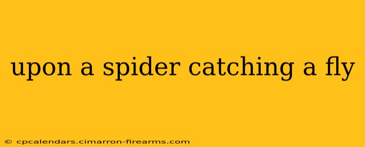 upon a spider catching a fly