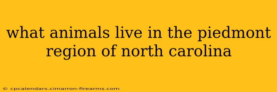 what animals live in the piedmont region of north carolina