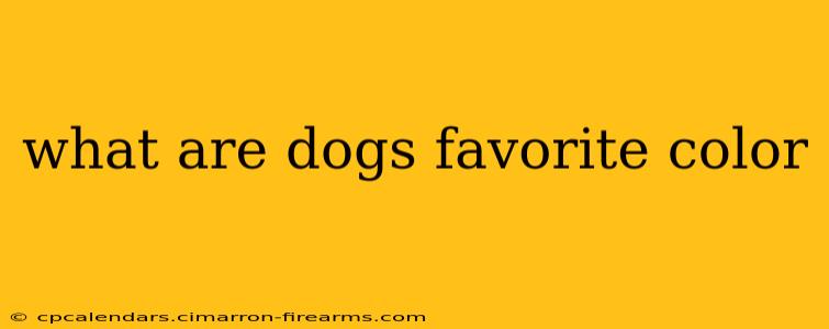 what are dogs favorite color