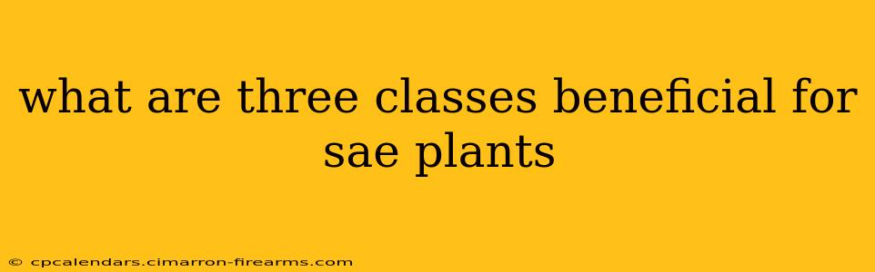 what are three classes beneficial for sae plants