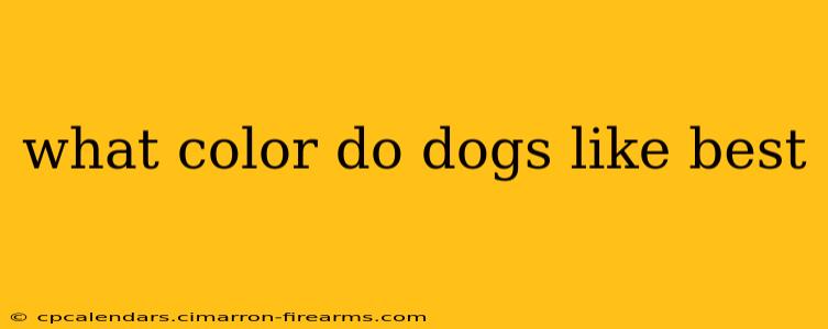 what color do dogs like best