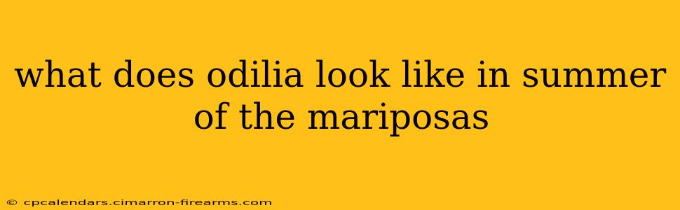 what does odilia look like in summer of the mariposas