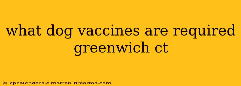 what dog vaccines are required greenwich ct