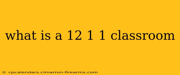 what is a 12 1 1 classroom