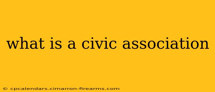 what is a civic association