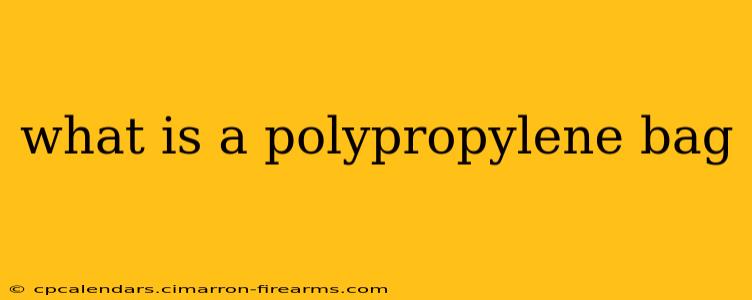 what is a polypropylene bag