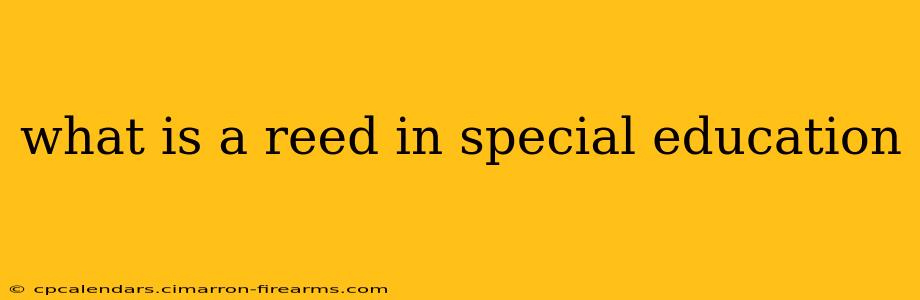 what is a reed in special education