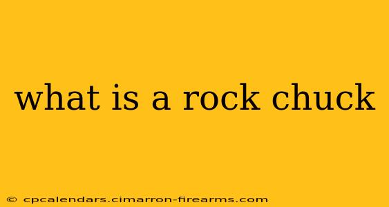 what is a rock chuck