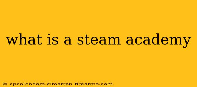 what is a steam academy