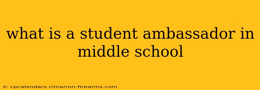 what is a student ambassador in middle school