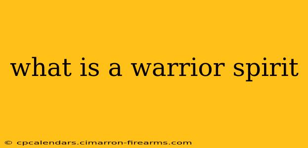 what is a warrior spirit